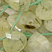 Green Tourmilated Quartz Beads