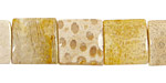 Fossil Coral Puff Square 14mm