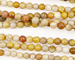 Fossil Coral Round 4mm