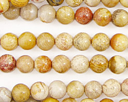 Fossil Coral Round 6mm