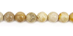Fossil Coral (Light) Round 8mm