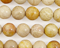 Fossil Coral Round 10mm