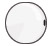 Coin Freshwater