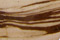 Brown Zebra Jasper Cabochons