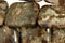 Chinese Ocean Jasper Beads