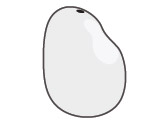 Nugget Tagua Nut