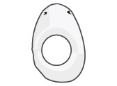 Open Slice Tagua Nut