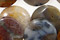 Rainbow Crazy Lace Agate Beads