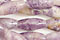 Lapidalite Jasper Beads