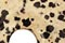 Dalmatian Jasper Beads