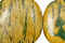 Green Vein Jasper Beads