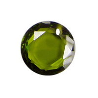 Fern Faceted Coin 16mm