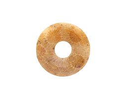 Fossil Coral Donut 20mm