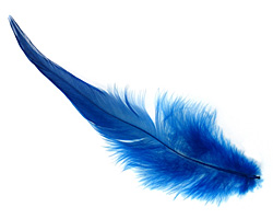 Royal Blue Neck Hackle Feather 100-152mm