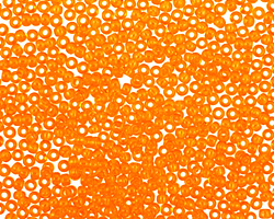TOHO Transparent Hyacinth Round 11/0 Seed Bead