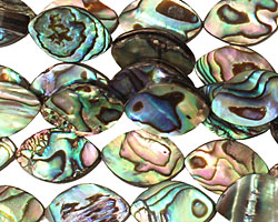 Abalone Horse Eye 15x10mm