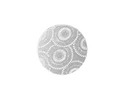 Lillypilly Silver Dandelion Anodized Aluminum Disc 19mm, 22 gauge