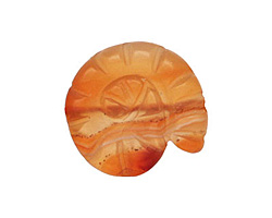 Carnelian (natural-matte) Ammonite 21-25mm