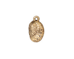 TierraCast Antique Gold (plated) Abalone Charm 9x16mm