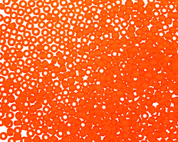 TOHO Transparent Frosted Hyacinth Round 11/0 Seed Bead