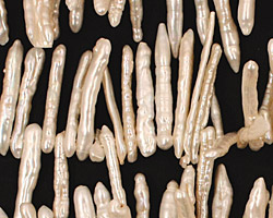 Pearly White Biwa Stick Top-Drilled 13-22mm