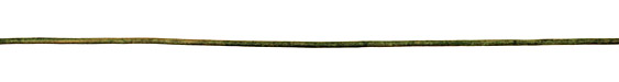 Natural Dark Green Round Leather Cord 2mm