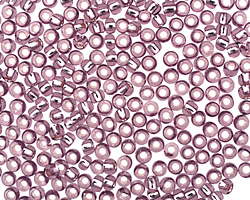 TOHO Light Amethyst (with Silver Lining) Round 8/0 Seed Bead