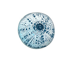 Humble Beads Polymer Clay Teal Sea Urchin 22-23mm