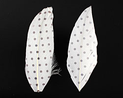 Brown Polka Dots w/ White Printed Feathers