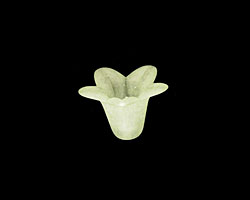 Lucite Margarita 5 Petal Small Bellflower 12x18mm