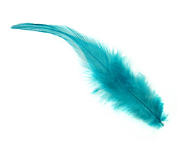 Teal Neck Hackle Feather 100-152mm
