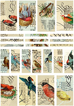 Nunn Design Birds Channel Bead Collage Sheet