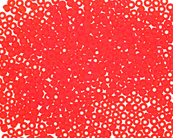 TOHO Transparent Frosted Light Siam Ruby Round 11/0 Seed Bead