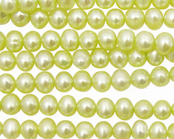 Lemon Ice Potato 4.5-5mm