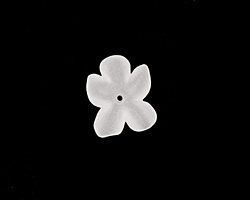 Matte Crystal Lucite Hibiscus Flower 3x11-14mm