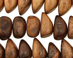 Roble Wood Side Drilled Nugget 8-10x15-16mm
