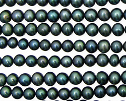 Stormy Blue Potato 5-5.5mm