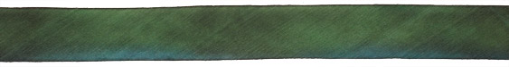 Forest Shadows Hand Dyed 100% Silk Ribbon 1"