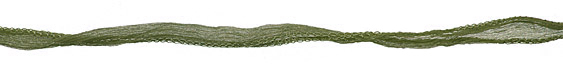 Sage Fairy Silk Ribbon 1/2"