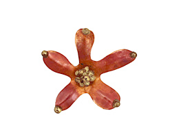 Patricia Healey Copper 5 Petal Flower Pendant 25x23mm