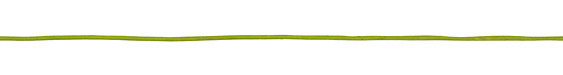 Fern Round Leather Cord 1.5mm