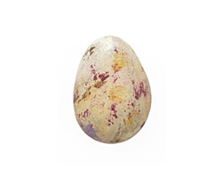 Humble Beads Polymer Clay Sparrow's Egg 19-22x14-15mm