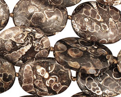 Turritella Agate Flat Oval 25-30x20mm