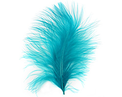 Teal Marabou Feather 100-152mm