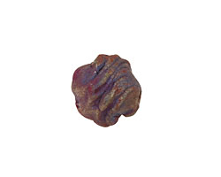 XAZ Raku Rust Blue Small Orb 13-14mm