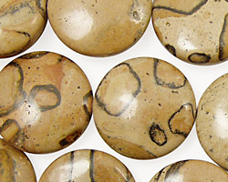 Madagascar Leopardskin Puff Coin 20mm