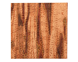 Lillypilly Enchantment Raised Flower Embossed Patina Copper Sheet 3"x3", 36 gauge