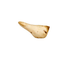 Kylie Parry Ceramic Vanilla Tiny Stone Bird 8x19mm