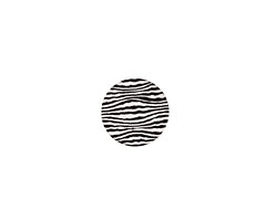 Lillypilly Black Zebra Anodized Aluminum Disc 11mm, 22 gauge