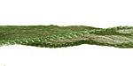 Leaf Fairy Silk Ribbon 1/2"